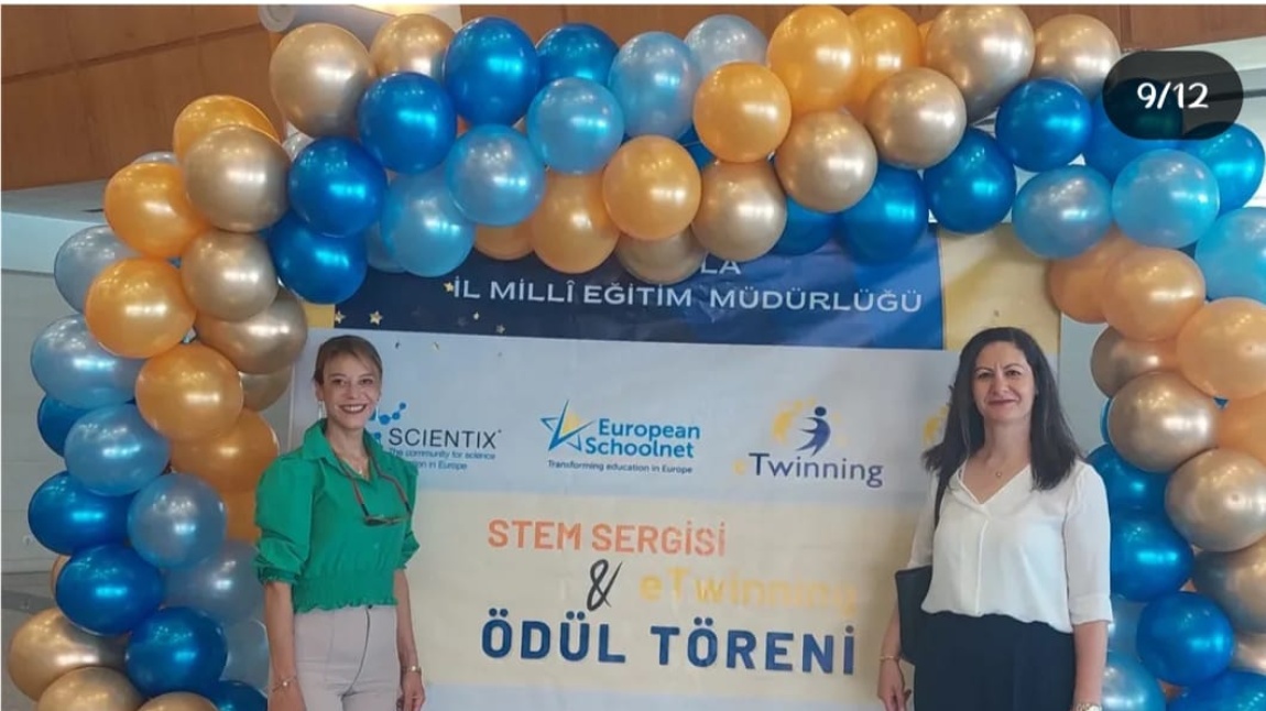 e-Twining